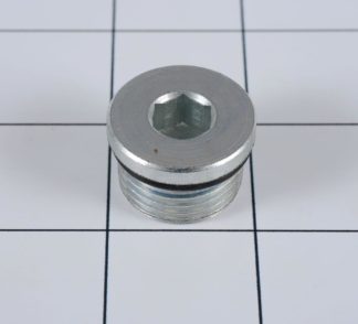 Socket Head W/O-Ring Plug